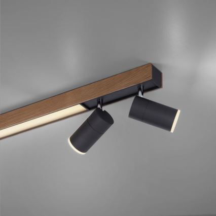 Paul Neuhaus 6121-79 - LED Prigušiva reflektorska lampa PURE 4xLED/4W/230V + LED/9W 2700-5000K + Daljinski upravljač