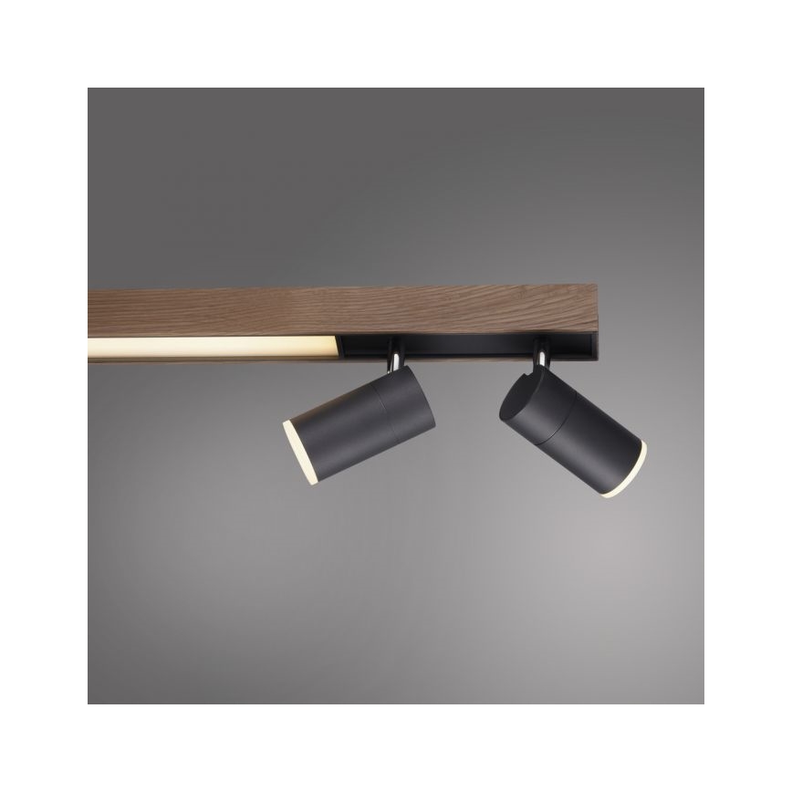 Paul Neuhaus 6121-79 - LED Prigušiva reflektorska lampa PURE 4xLED/4W/230V + LED/9W 2700-5000K + Daljinski upravljač