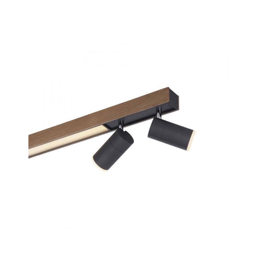 Paul Neuhaus 6121-79 - LED Prigušiva reflektorska lampa PURE 4xLED/4W/230V + LED/9W 2700-5000K + Daljinski upravljač