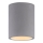 Paul Neuhaus 6160-22 - Reflektorska lampa ETON 1xGU10/10W/230V beton