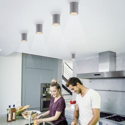 Paul Neuhaus 6160-22 - Reflektorska lampa ETON 1xGU10/10W/230V beton