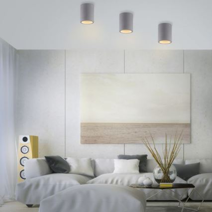 Paul Neuhaus 6160-22 - Spot svetiljka ETON 1xGU10/10W/230V betonska