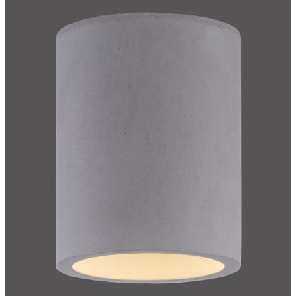 Paul Neuhaus 6160-22 - Spot svetiljka ETON 1xGU10/10W/230V betonska