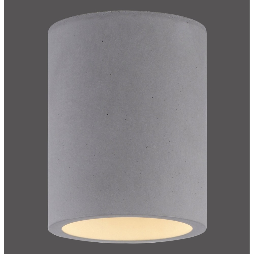 Paul Neuhaus 6160-22 - Spot svetiljka ETON 1xGU10/10W/230V betonska