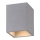 Paul Neuhaus 6161-22 - Reflektorska lampa ETON 1xGU10/10W/230V beton