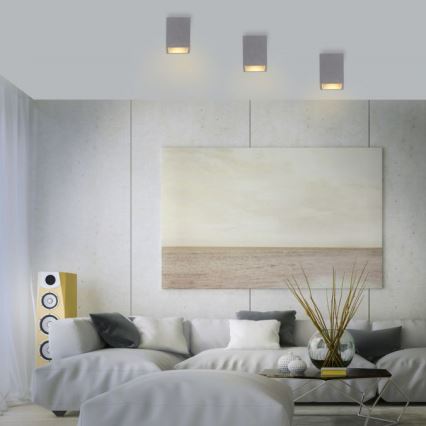 Paul Neuhaus 6161-22 - Reflektorska lampa ETON 1xGU10/10W/230V beton