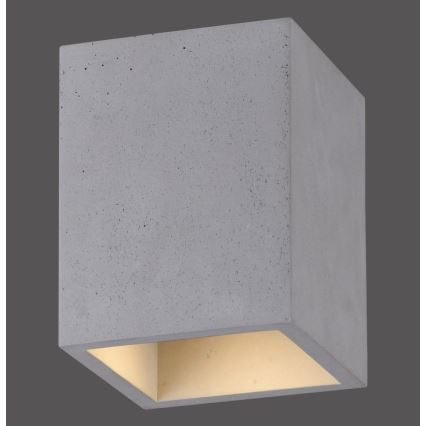 Paul Neuhaus 6161-22 - Reflektorska lampa ETON 1xGU10/10W/230V beton