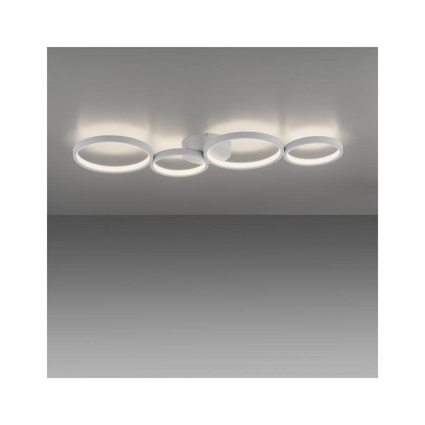 Paul Neuhaus 6183-16 - LED Prigušiva plafonjera KIRINGE LED/26W/230V