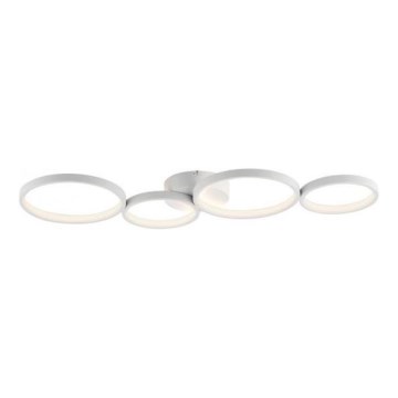 Paul Neuhaus 6183-16 - LED prigušiva stropno svetlo KIRINGE LED/26W/230V