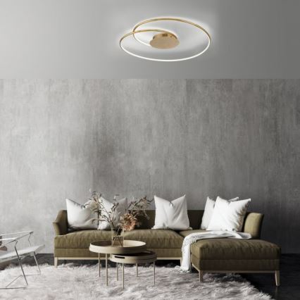 Paul Neuhaus 6189-12 - LED Prigušiva plafonjera NASTRO LED/26W/230V