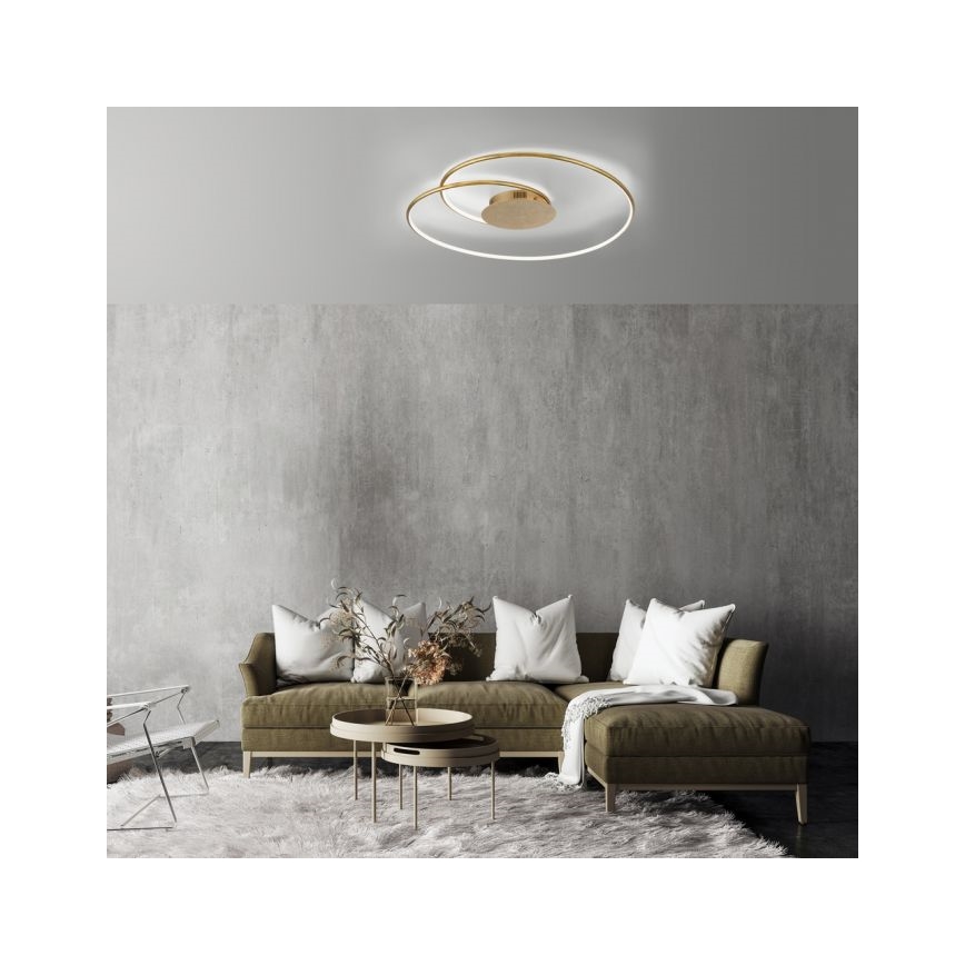 Paul Neuhaus 6189-12 - LED Prigušiva plafonjera NASTRO LED/26W/230V
