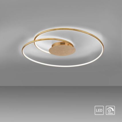 Paul Neuhaus 6189-12 - LED Prigušiva plafonjera NASTRO LED/26W/230V