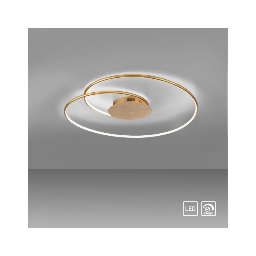 Paul Neuhaus 6189-12 - LED Prigušiva plafonjera NASTRO LED/26W/230V