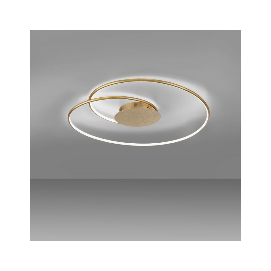 Paul Neuhaus 6189-12 - LED Prigušiva plafonjera NASTRO LED/26W/230V