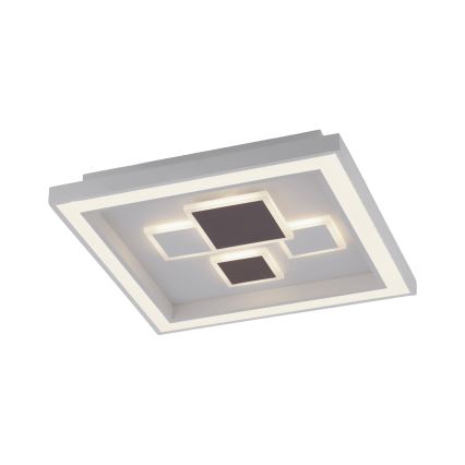 Paul Neuhaus 6283-16 - LED prigušiva plafonska lampa ELIZA LED/30W/230V + LED/18,5W