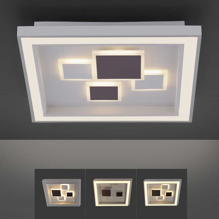 Paul Neuhaus 6283-16 - LED prigušiva plafonska lampa ELIZA LED/30W/230V + LED/18,5W