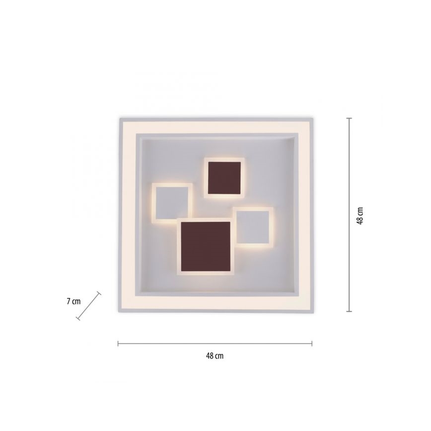 Paul Neuhaus 6283-16 - LED prigušiva plafonska lampa ELIZA LED/30W/230V + LED/18,5W