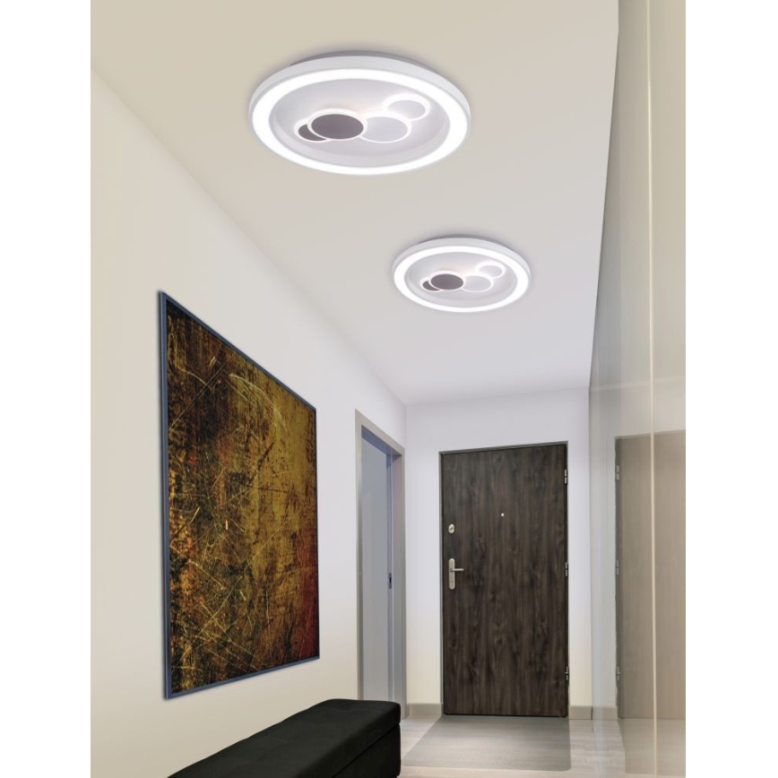 Paul Neuhaus 6284-16 - LED plafonsko svetlo ELIZA LED/55,5W/230V prečnik 60 cm