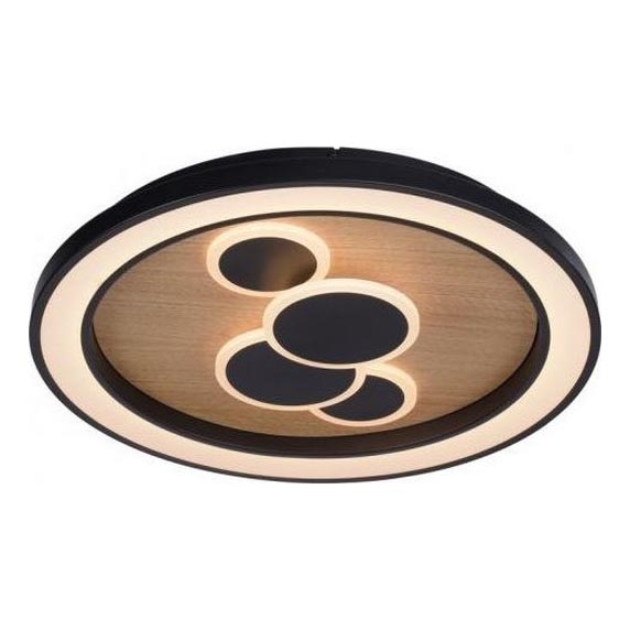 Paul Neuhaus 6284-79 - LED Plafonjera ELIZA LED/55,5W/230V pr. 60 cm hrast