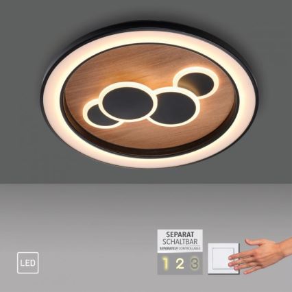 Paul Neuhaus 6284-79 - LED plafonsko svetlo ELIZA LED/55,5W/230V prečnik 60 cm hrast