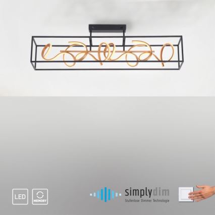 Paul Neuhaus 6473-18 - LED prigušiva luster na šipci SELINA 4xLED/10,2W/230V