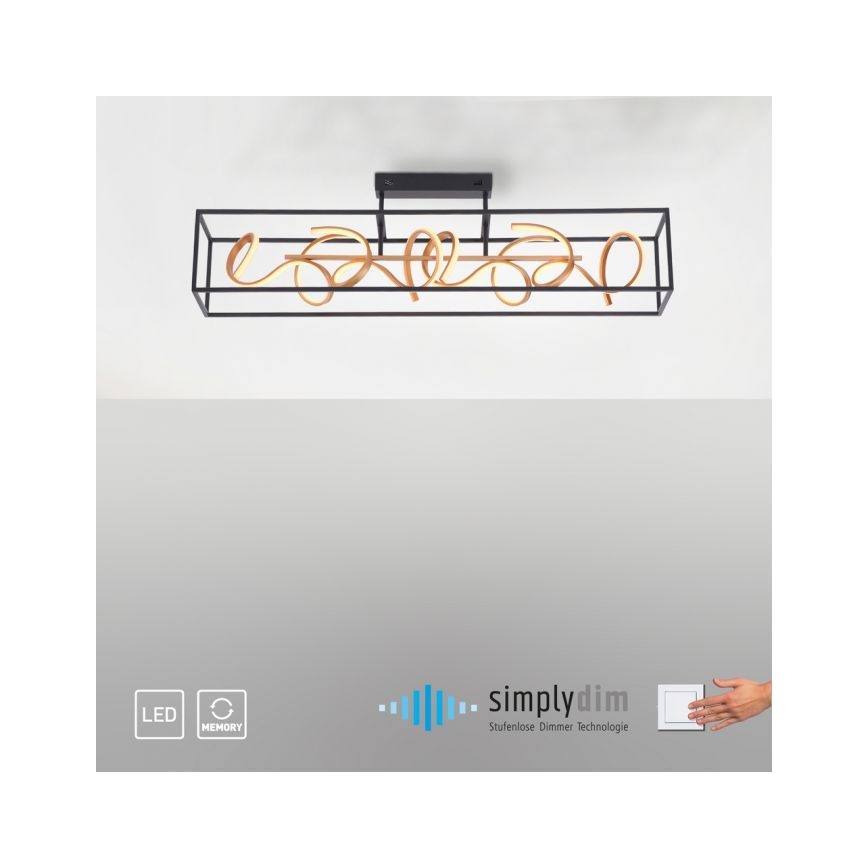 Paul Neuhaus 6473-18 - LED prigušiva luster na šipci SELINA 4xLED/10,2W/230V