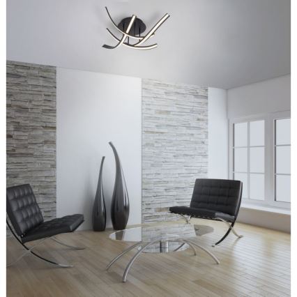 Paul Neuhaus 6474-48 - LED prigušiva prislonjena plafonska lampa LINDA 4xLED/7W/230V