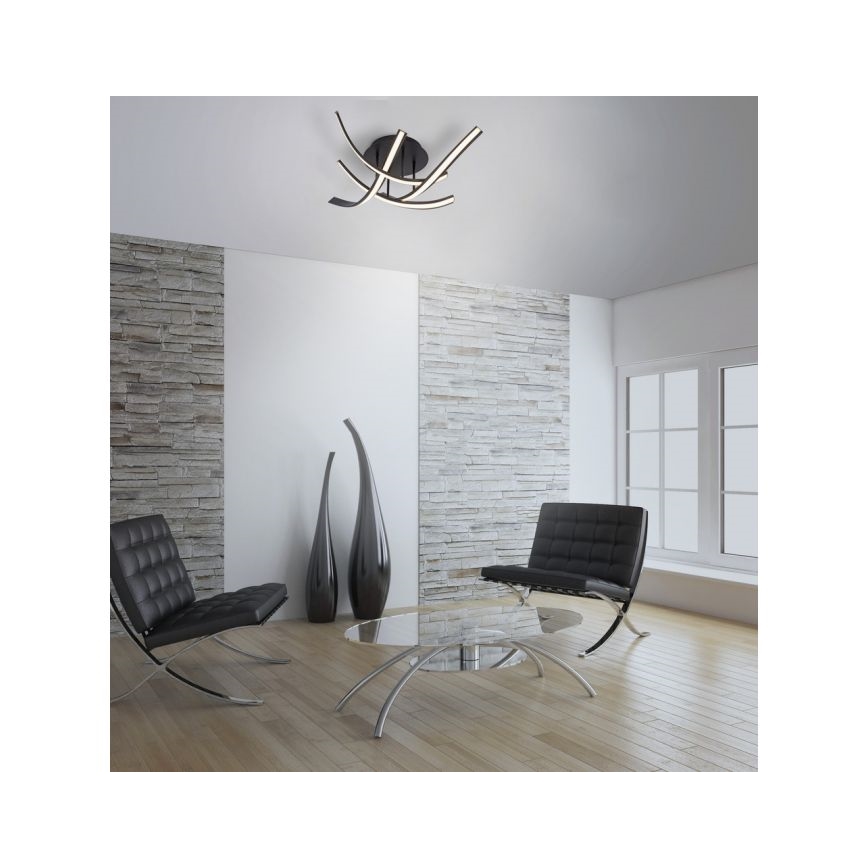 Paul Neuhaus 6474-48 - LED prigušiva prislonjena plafonska lampa LINDA 4xLED/7W/230V