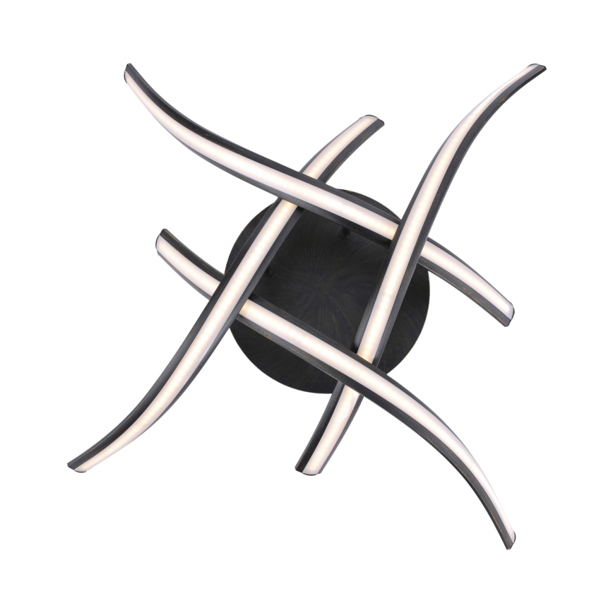 Paul Neuhaus 6474-48 - LED prigušiva prislonjena plafonska lampa LINDA 4xLED/7W/230V