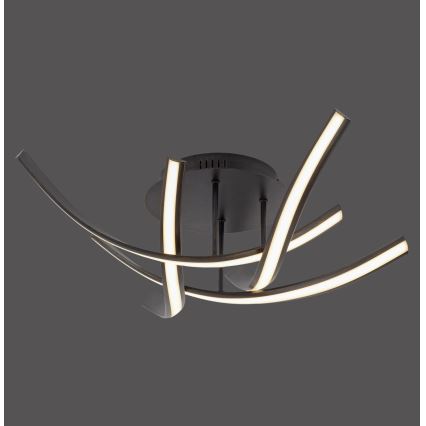 Paul Neuhaus 6474-48 - LED prigušiva prislonjena plafonska lampa LINDA 4xLED/7W/230V