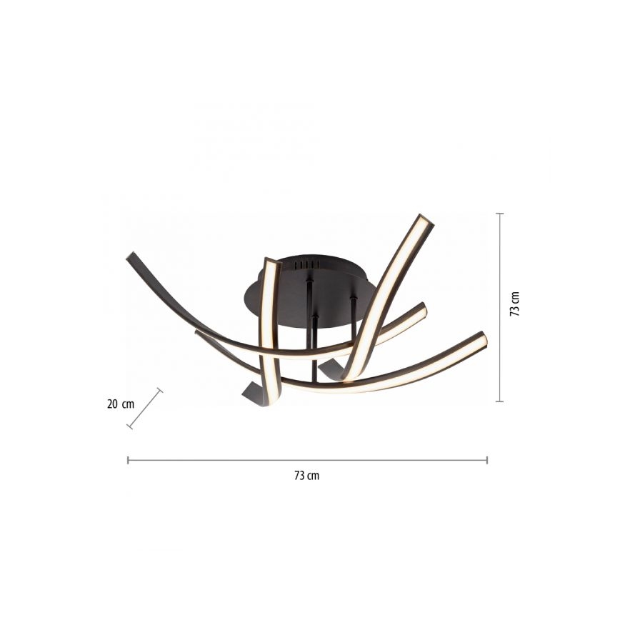 Paul Neuhaus 6474-48 - LED prigušiva prislonjena plafonska lampa LINDA 4xLED/7W/230V