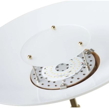 Paul Neuhaus 655-60 - LED prigušiva podna lampa ALFRED 1xLED/28W/230V+1xLED/4W/230V mesing