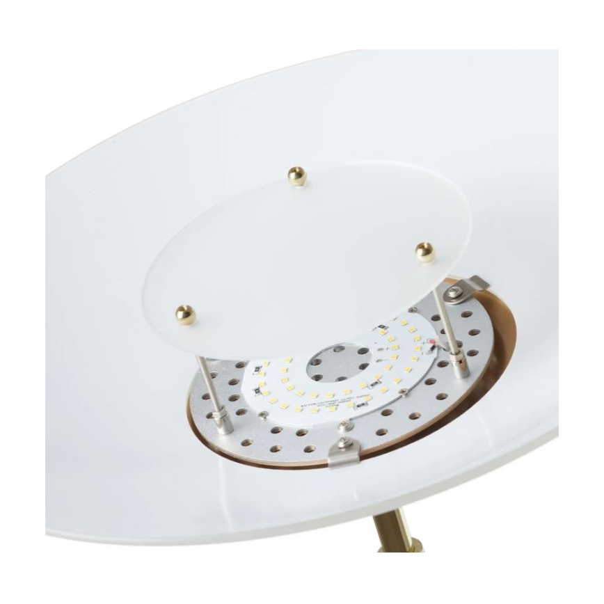 Paul Neuhaus 655-60 - LED prigušiva podna lampa ALFRED 1xLED/28W/230V+1xLED/4W/230V mesing