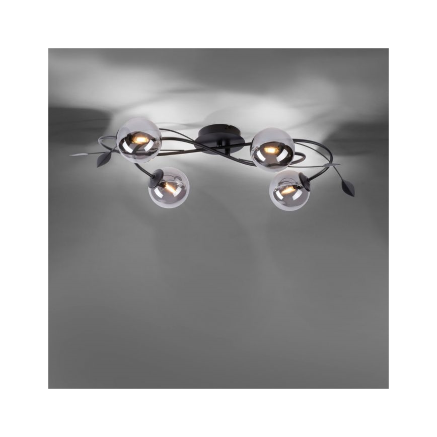 Paul Neuhaus 6724-18 - LED plafonski luster WIDOW 4xG9/3W/230V