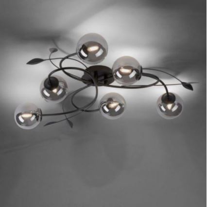 Paul Neuhaus 6737-18 - LED plafonski luster WIDOW 6xG9/3W/230V