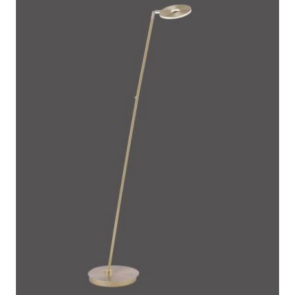 Paul Neuhaus 676-60 - LED prigušiva dodirna podna lampa MARTIN LED/13,5W/230V mesing