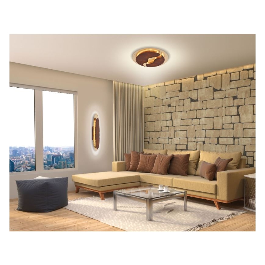 Paul Neuhaus 6983-48 - LED prigušiva stropna svetiljka NEVIS LED/42W/230V