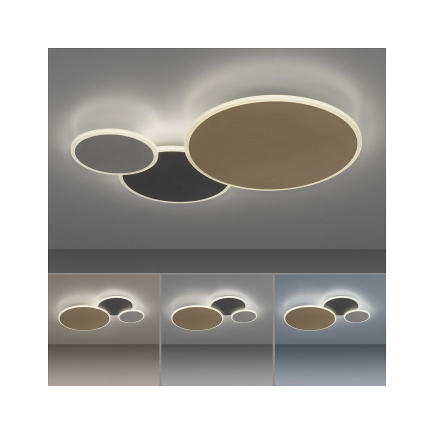 Paul Neuhaus 8007-70 - LED prigušiva plafonska svetiljka Q-PIATO LED/35W/230V 2700-5000K Wi-Fi + daljinski upravljač