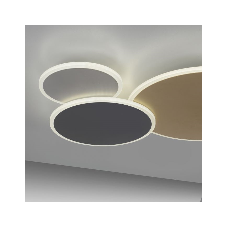 Paul Neuhaus 8007-70 - LED prigušiva plafonska svetiljka Q-PIATO LED/35W/230V 2700-5000K Wi-Fi + daljinski upravljač