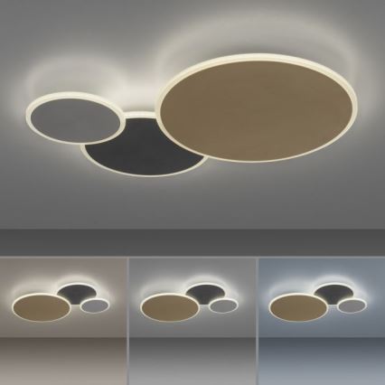 Paul Neuhaus 8007-70 - LED Prigušiva plafonjera Q-PIATO LED/35W/230V 2700-5000K Wi-Fi + Daljinski upravljač