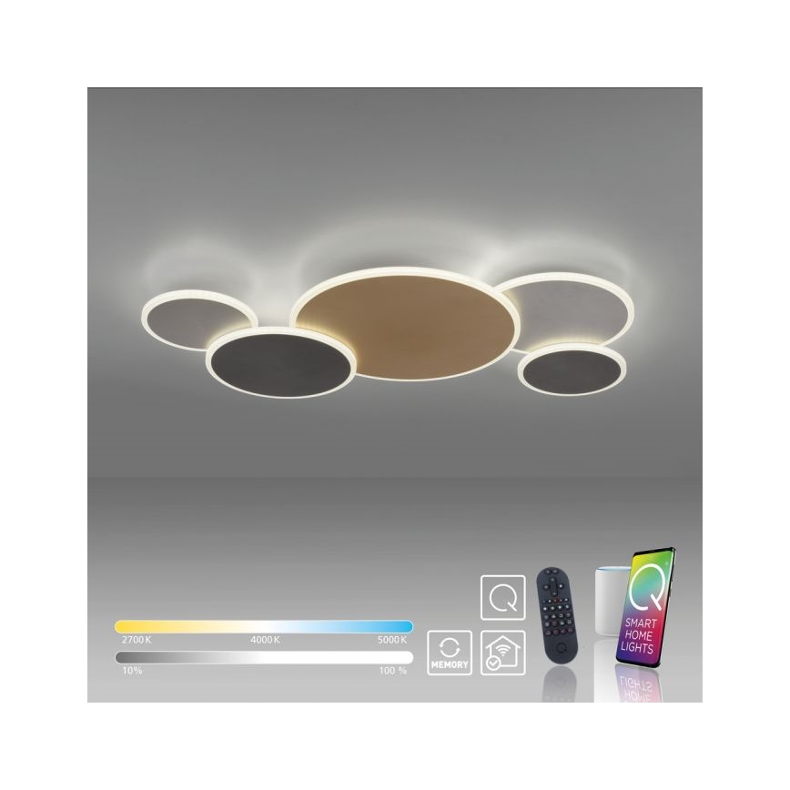 Paul Neuhaus 8008-70 - LED Prigušiva plafonjera Q-PIATO LED/49W/230V 2700-5000K Wi-Fi + Daljinski upravljač