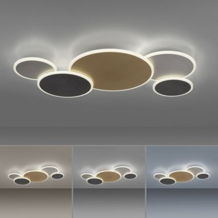 Paul Neuhaus 8008-70 - LED Prigušiva plafonjera Q-PIATO LED/49W/230V 2700-5000K Wi-Fi + Daljinski upravljač