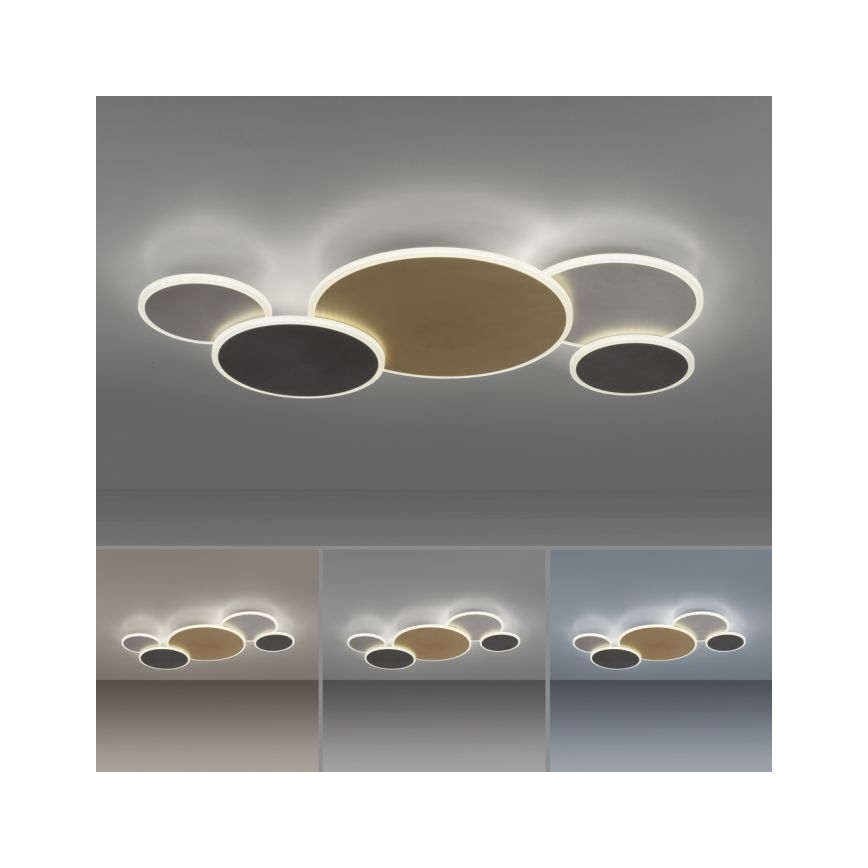 Paul Neuhaus 8008-70 - LED Prigušiva plafonjera Q-PIATO LED/49W/230V 2700-5000K Wi-Fi + Daljinski upravljač