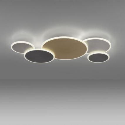 Paul Neuhaus 8008-70 - LED Prigušiva plafonjera Q-PIATO LED/49W/230V 2700-5000K Wi-Fi + Daljinski upravljač
