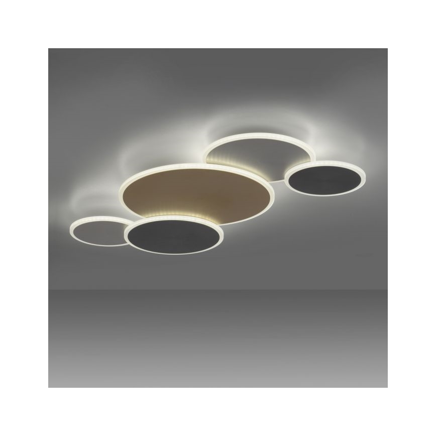 Paul Neuhaus 8008-70 - LED Prigušiva plafonjera Q-PIATO LED/49W/230V 2700-5000K Wi-Fi + Daljinski upravljač