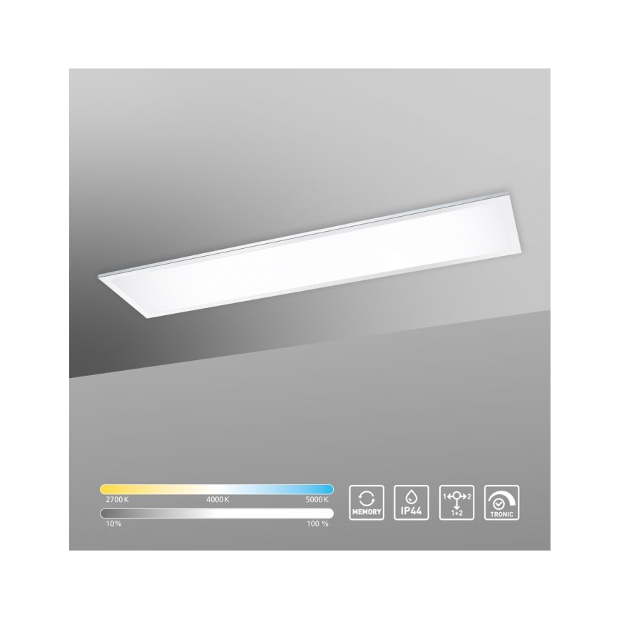 Paul Neuhaus 8112-17 - LED prigušiva nadgradni panel FLAG LED/35W/230V