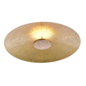 Paul Neuhaus 8132-12 - LED prigušiva plafonska svetiljka PLATE LED/25W/230V