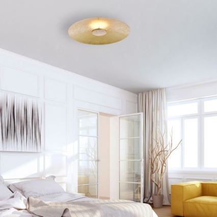 Paul Neuhaus 8132-12 - LED prigušiva plafonska svetiljka PLATE LED/25W/230V