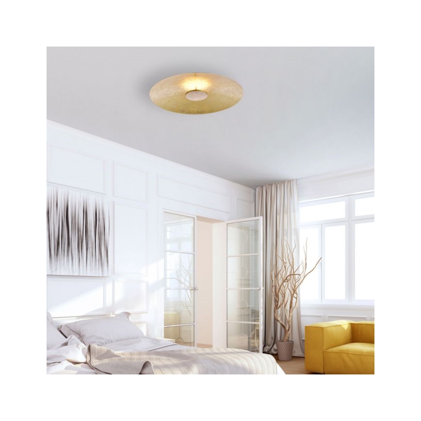 Paul Neuhaus 8132-12 - LED prigušiva plafonska svetiljka PLATE LED/25W/230V