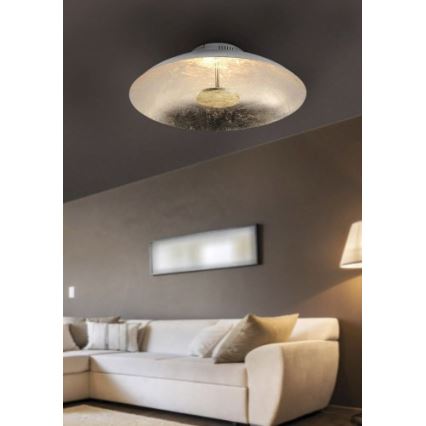 Paul Neuhaus 8132-12 - LED prigušiva plafonska svetiljka PLATE LED/25W/230V